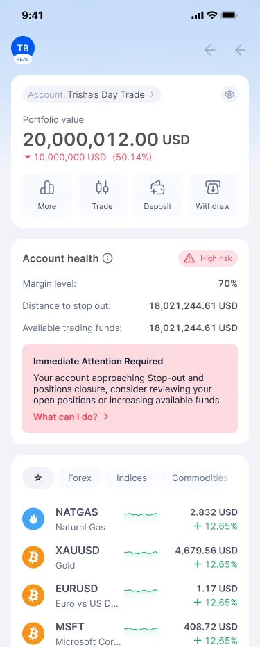 Account health card showing High risk with a red Immediate Attention Required banner